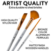 Paint Brush Set of 16 – 15 Different Shapes + 1 Flat Brush – with Pallete Knife and Sponge – Nylon Hair and Ergonomic Non Slip Matte Silver Handles